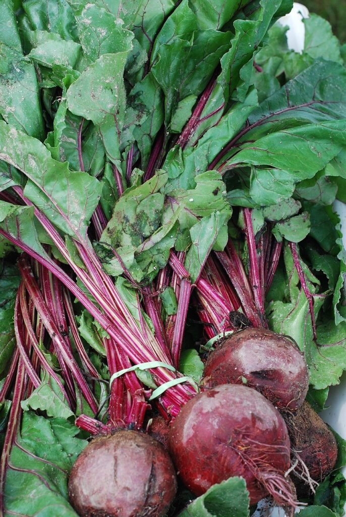 beetroot for color gray hair